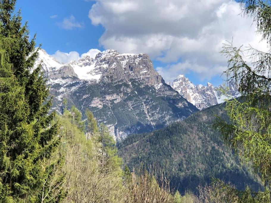 Appartamento Giada Pozzale Di Pieve Di Cadore Eksteriør bilde