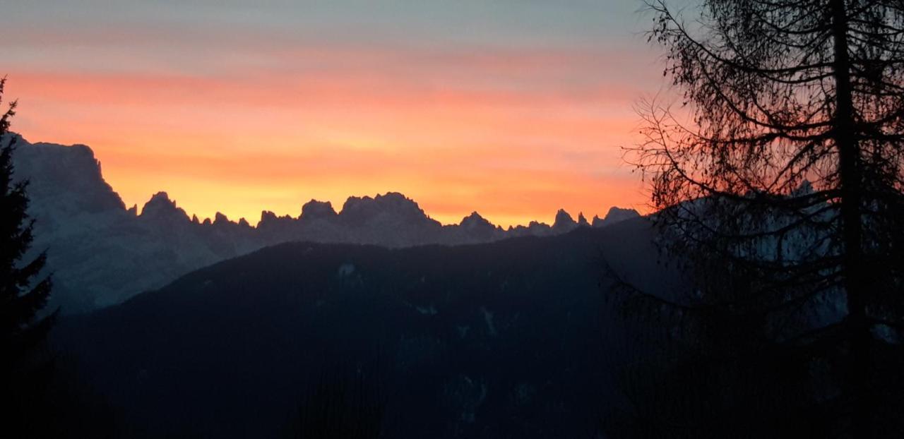 Appartamento Giada Pozzale Di Pieve Di Cadore Eksteriør bilde